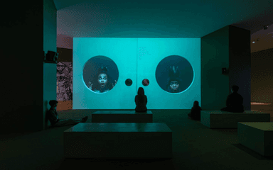 Photo de l'exposition "Primate Visions : Macaque Macabre"