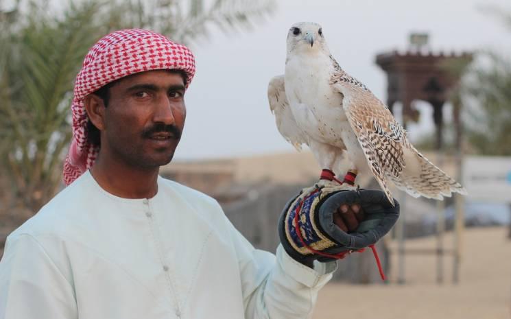 Dubai au-delà des grattes-ciels