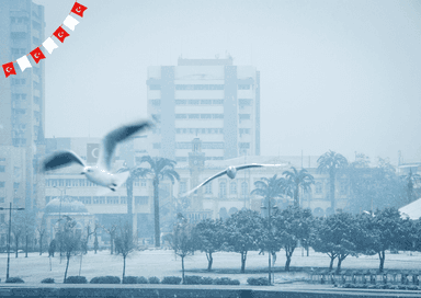 Izmir décembre 2024 activités