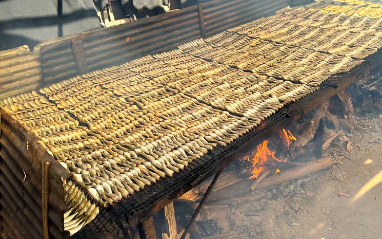 Photo Sechage de poisson 1