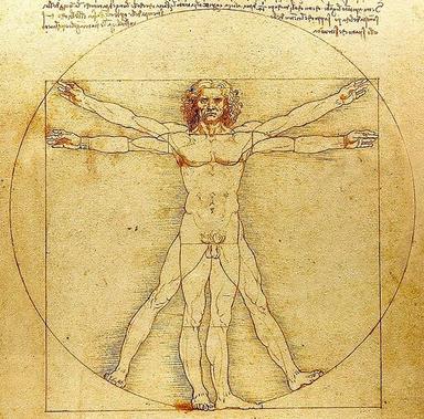 homme de vitruve leonard de vinci