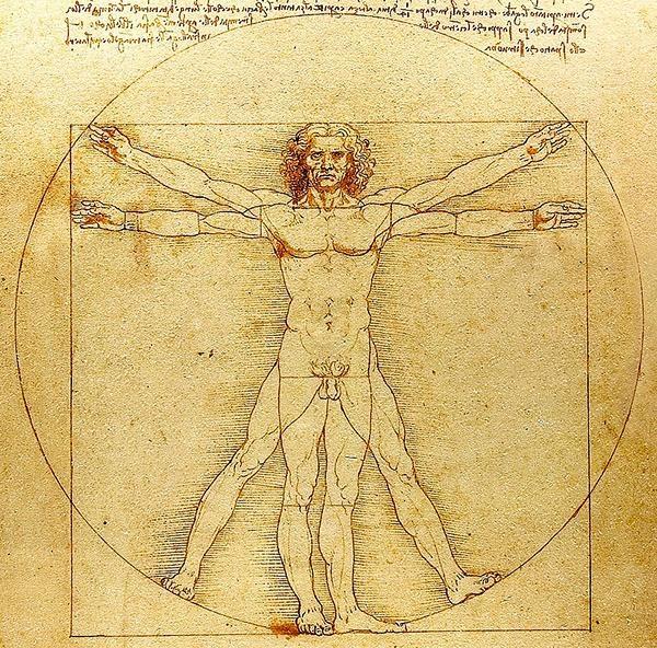 homme de vitruve leonard de vinci