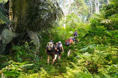 Meilleurs endroits pour faire un trekking au Vietnam