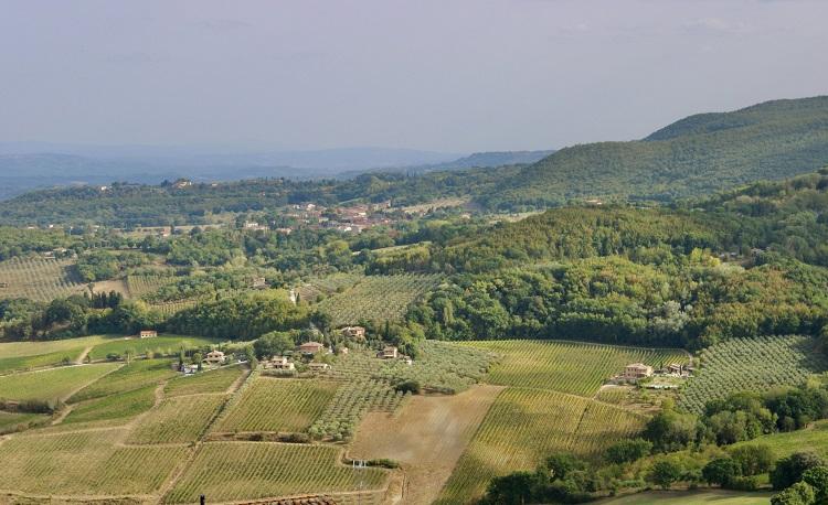 un paysage de collines avec des arbres et des maisons