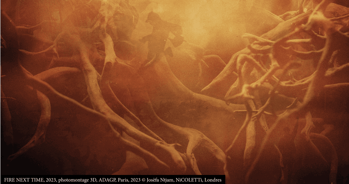 Photomontage de Josèfa Ntjam