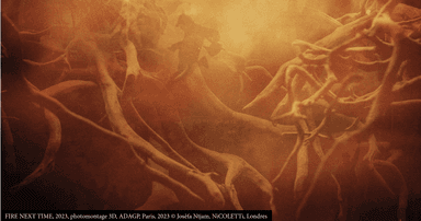 Photomontage de Josèfa Ntjam