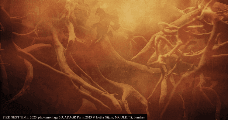 Photomontage de Josèfa Ntjam