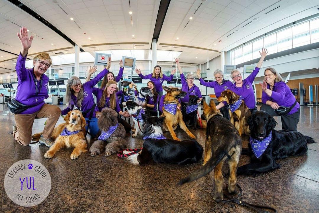 Escouade câline de YUL