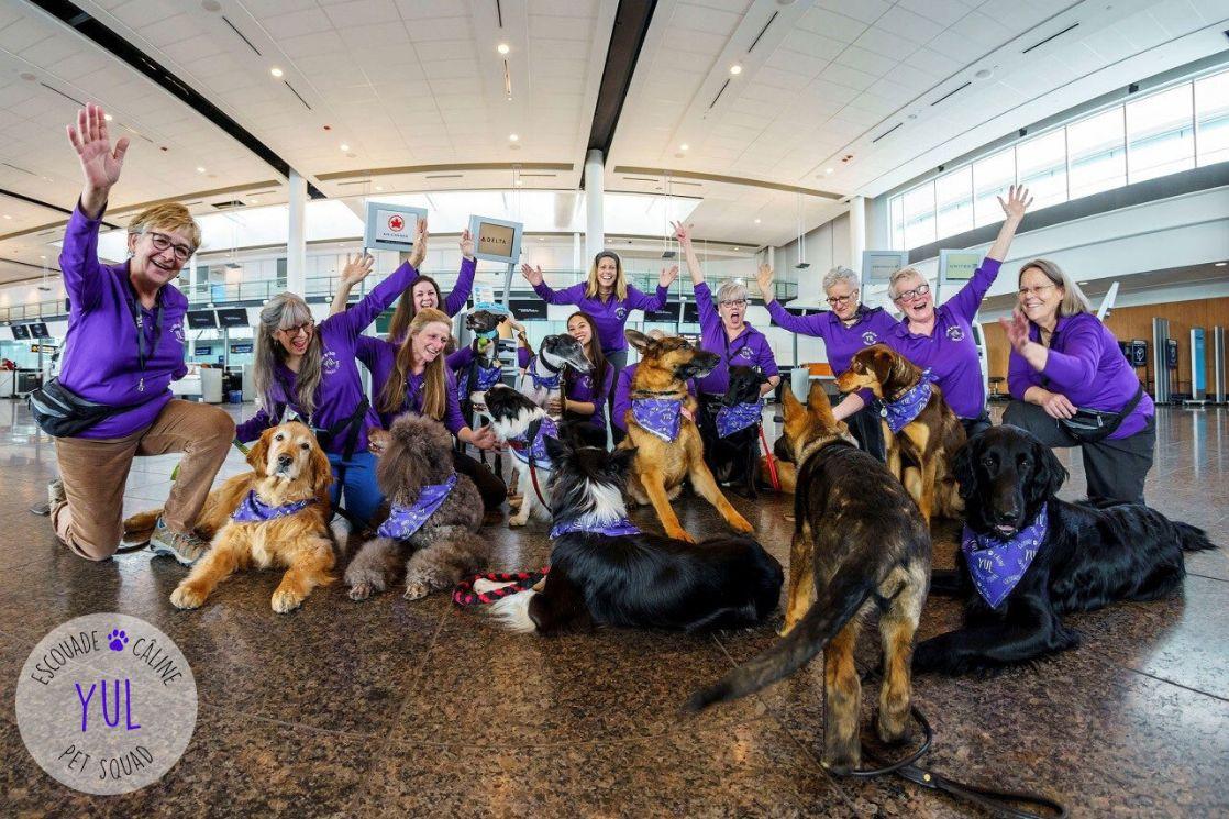 Escouade câline de YUL