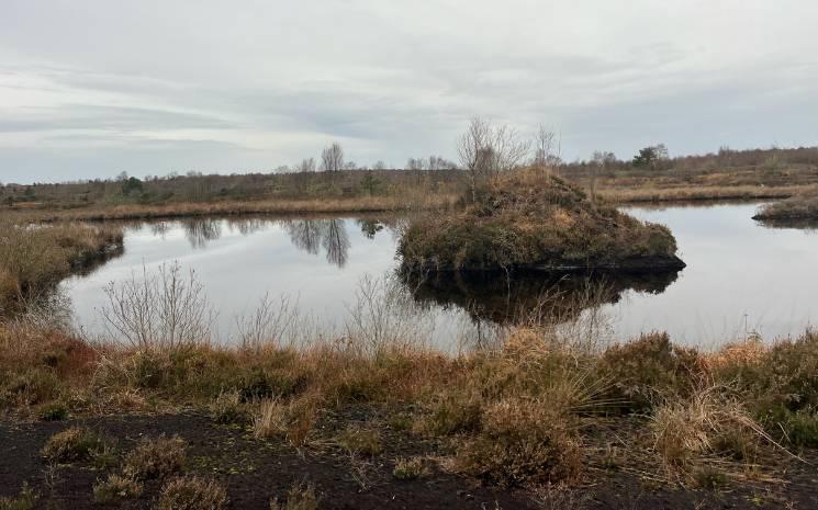 L'avenir des tourbières en Irlande