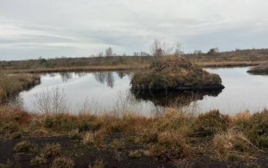 L'avenir des tourbières en Irlande