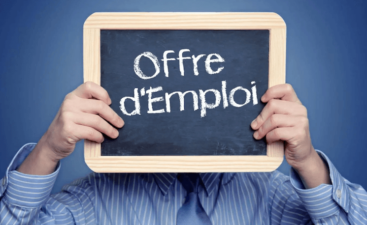 Offre emploi Institut français Izmir