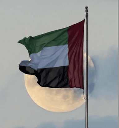 Screenshot 2024-12-01 at 17.31.52