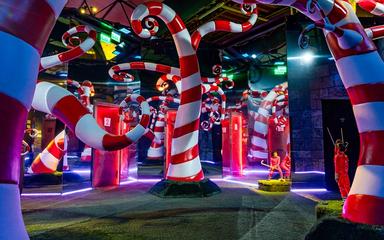 installation immersives colorées tim burton