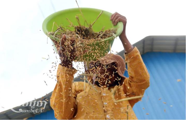 Farmers Demand Government Help (4) copie