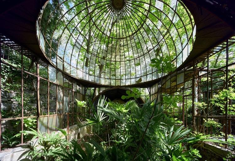 photo de verdure de Thomas Jorion