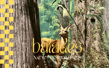 American Museum of Natural History