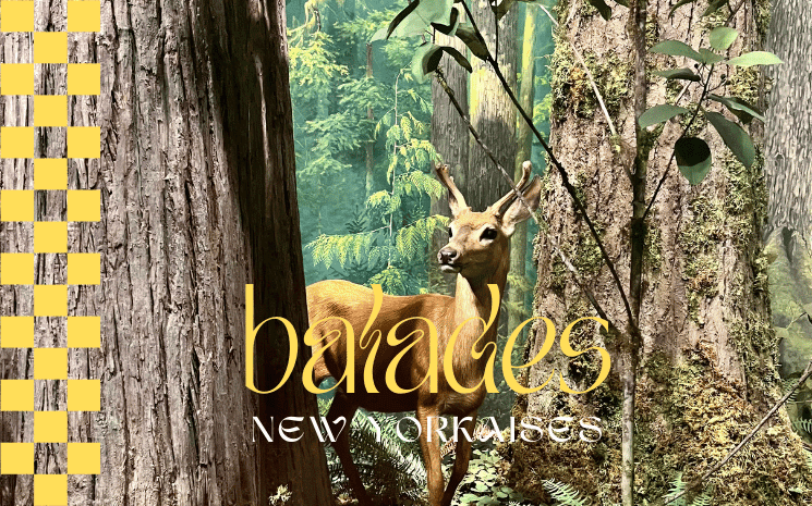 American Museum of Natural History