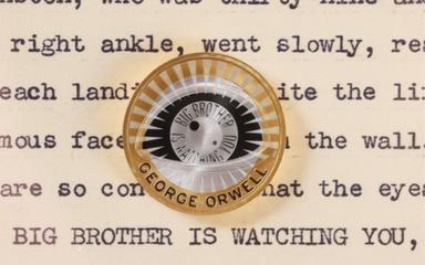 big brother is watching you