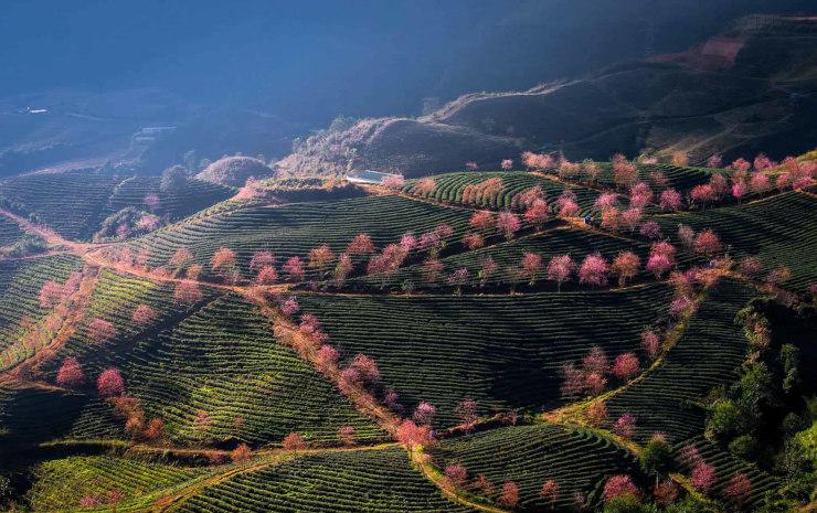 meilleures destinations au Vietnam en Janvier