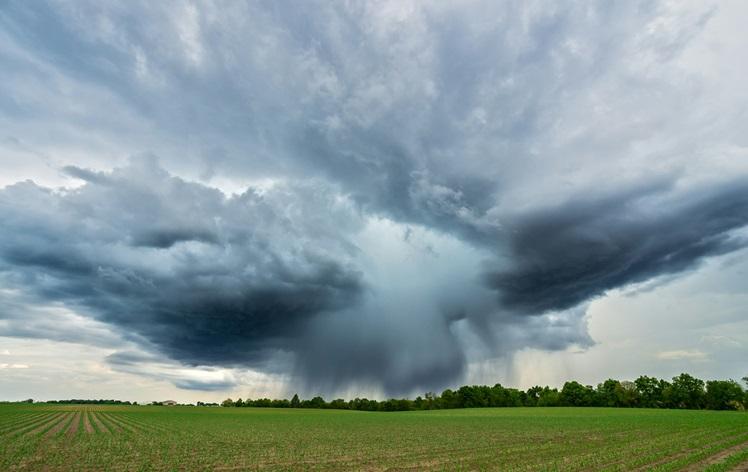 un champ vert sous un ciel nuageux