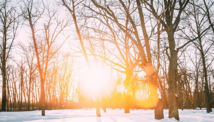 warm-winter-february-2024-750x430