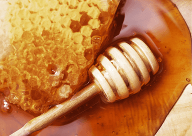 Gros plan sur du miel doré avec un bâton en bois, illustrant la richesse de l’apiculture turque.