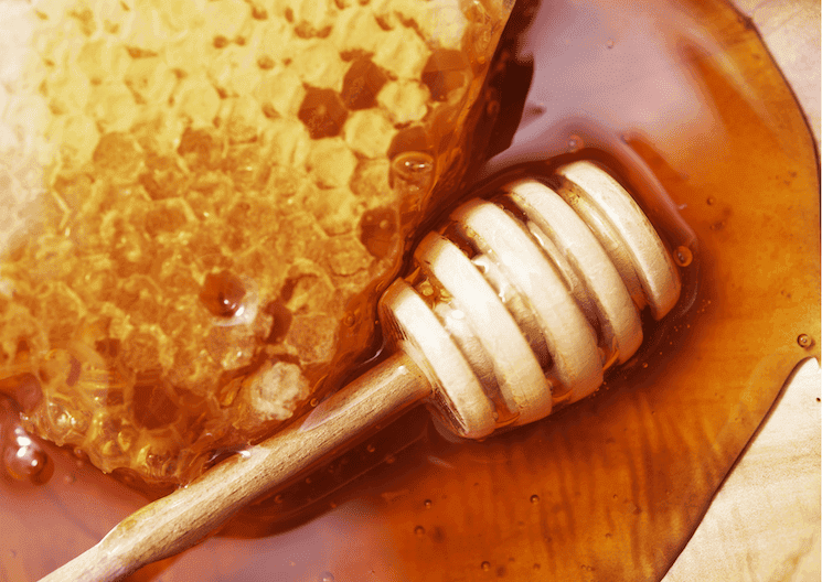 Gros plan sur du miel doré avec un bâton en bois, illustrant la richesse de l’apiculture turque.