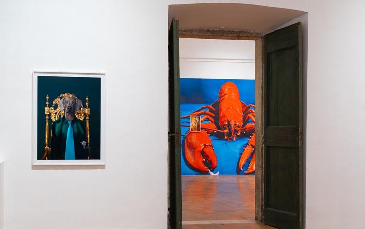 exposition chromotherapia