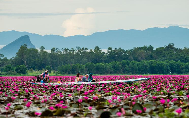 Mer-lotus-Thale-Noi-Phatthalung-Thailande