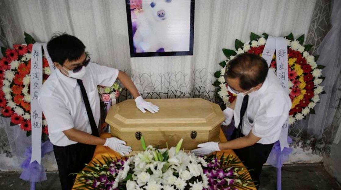 Screenshot 2025-02-18 at 12.59.23 PM