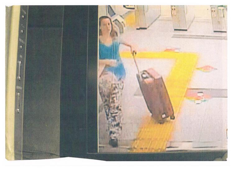 Recherche de Tiphaine Véron au Japon, vidéo surveillance