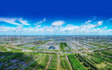 Agriculture vietnamienne, une transition vers la circularité : Le cas du Mékong