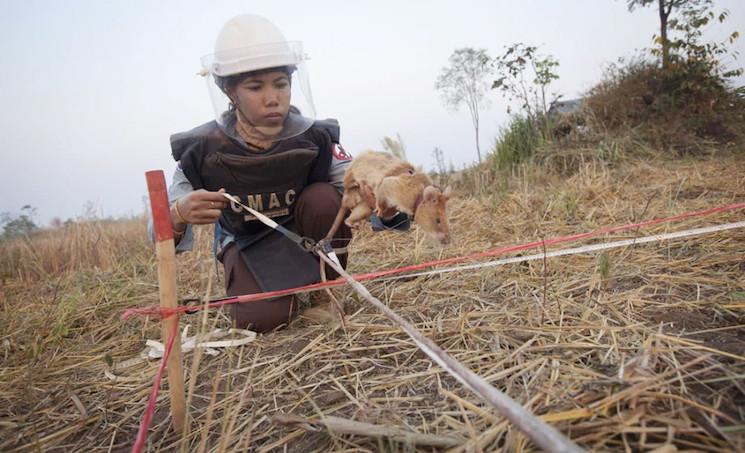 déminage au Cambodge 2_0
