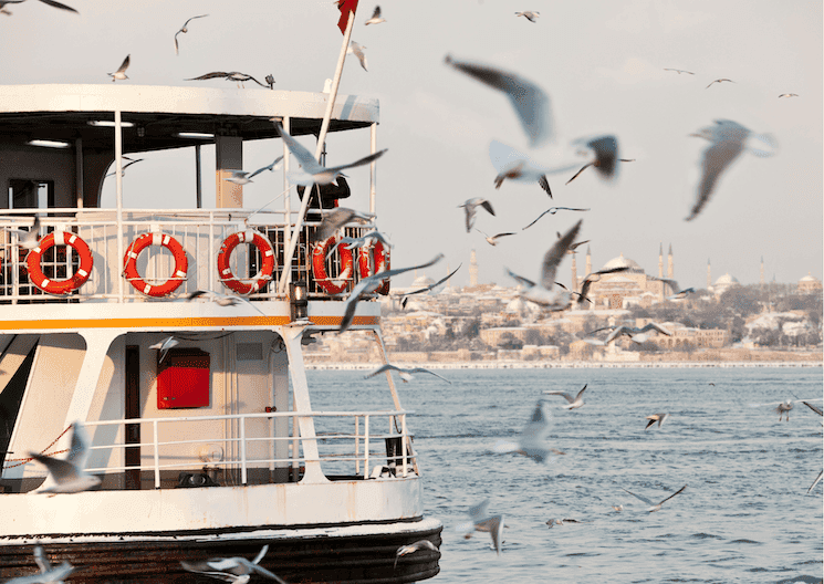 Ferry sur le Bosphore à Istanbul entouré de mouettes en mars 2025, avec la silhouette de la ville en arrière-plan.