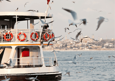 Ferry sur le Bosphore à Istanbul entouré de mouettes en mars 2025, avec la silhouette de la ville en arrière-plan.