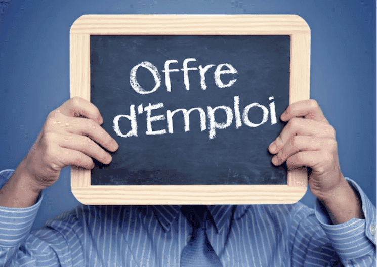 Visuel annonce offre d'emploi responsable culturel à l’Institut français d’Istanbul, recrutement 2025