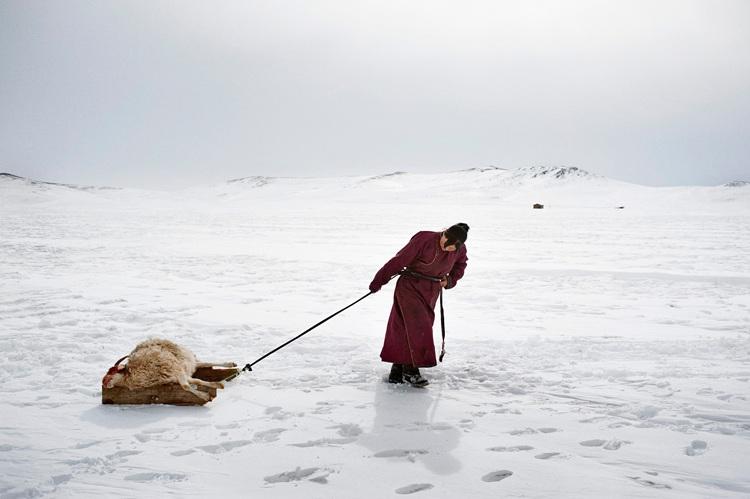 photo d'une femme qui tire une peau dans la neige