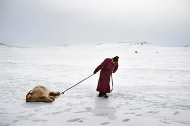 photo d'une femme qui tire une peau dans la neige