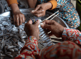 poisson fumé cambodge