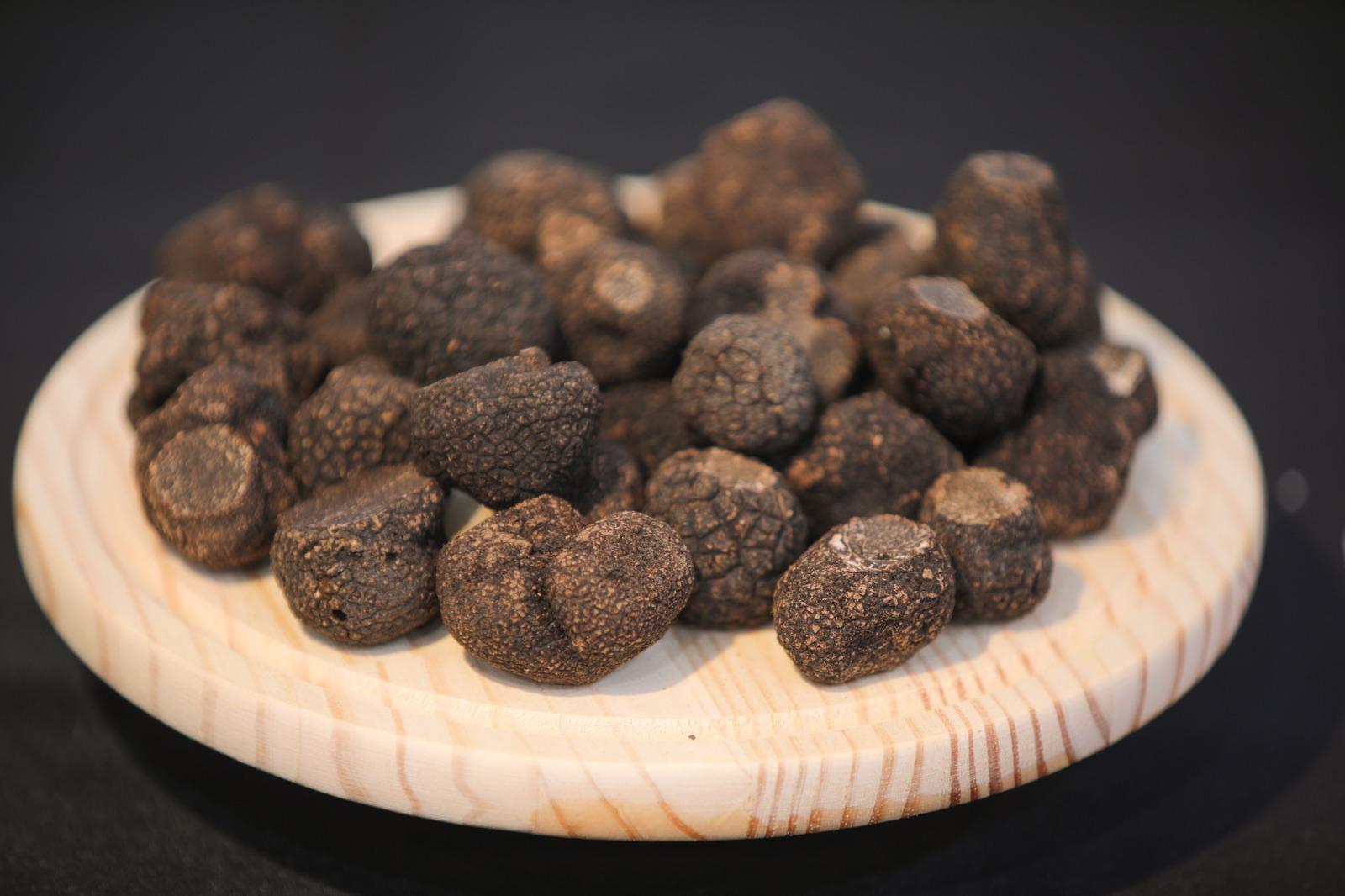 truffes noires