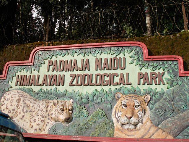 640px-Padmaja_Naidu_Himalayan_Zoological_Park_in_Darjeeling