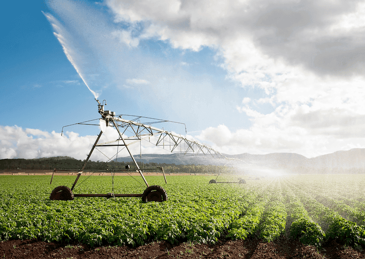 Champ cultivé irrigué en Turquie, symbole de la modernisation de l’agriculture et des exportations agricoles en 2024