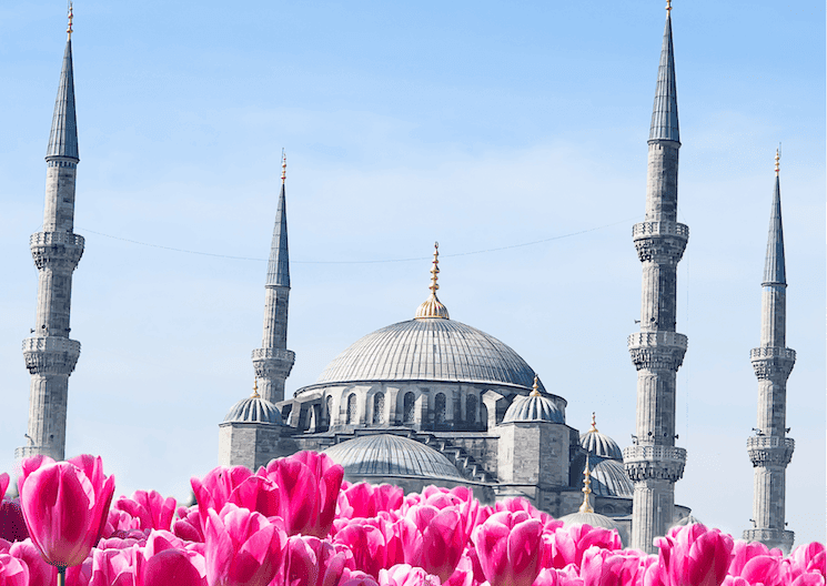 Tulipes colorées en fleur devant la Mosquée Bleue à Istanbul lors du festival d’avril 2025
