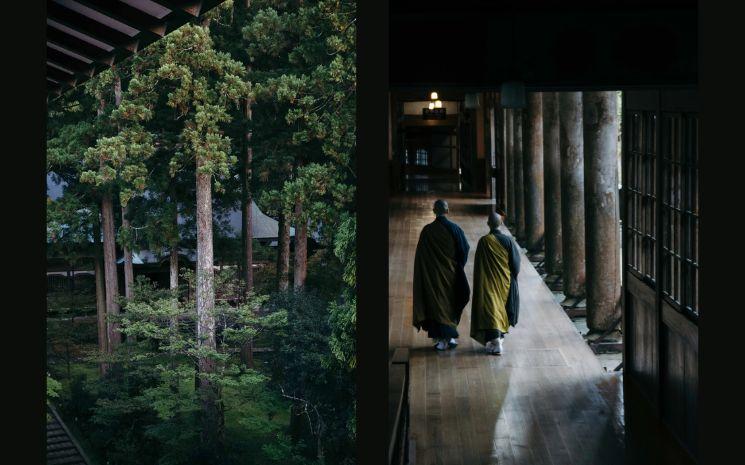 © Le Polyèdre, Eihei-ji