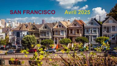 Les painted ladies à san Francisco