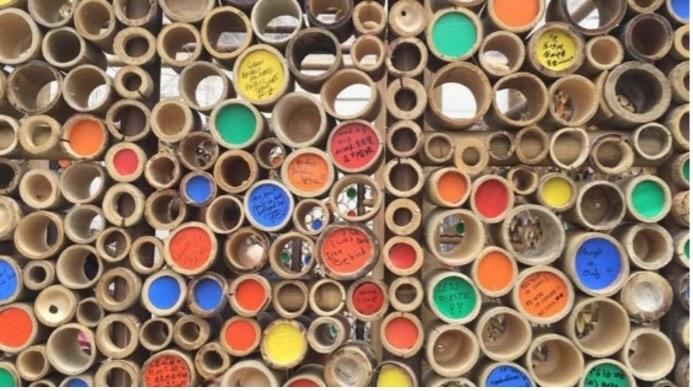 Deux associations bretonnes lancent un projet d'école écologique