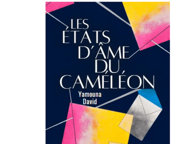 Les Etats d'ames du cameleon