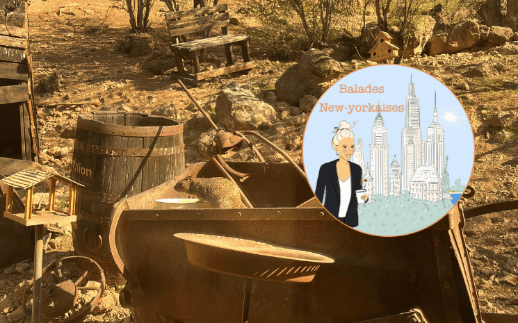 balades newyorkaises en arizona