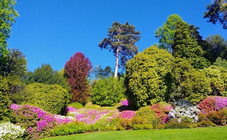 jardin fleuri de la villa carlotta sur le lac de Côme